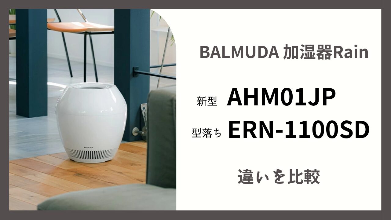 BALMUDA Rain wifi 【公式通販】